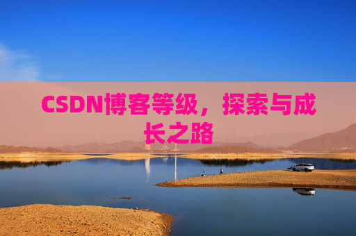 CSDN博客等级，探索与成长之路